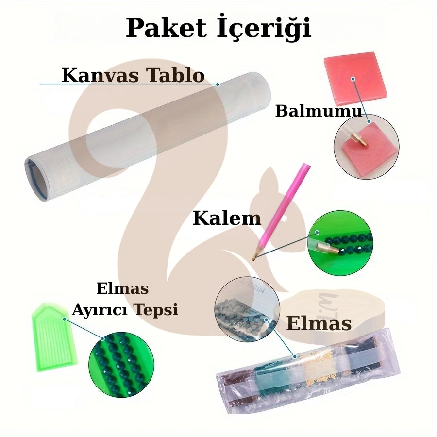 Minimal Papatya Bahçesi Elmas Boyama Tablo – 25x30 cm DIY Diamond Painting Seti